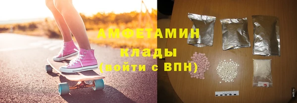 шишки Карпинск