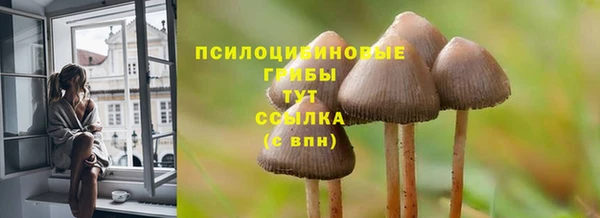 шишки Карпинск