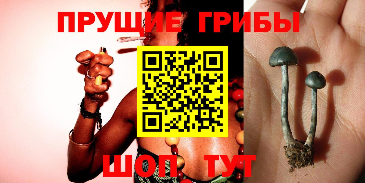 Ленинск-Кузнецкий  MDMA  МЕТ  ГАШИШ  Канабис  Меф   Экстази  Cocaine  АМФ кристаллы 