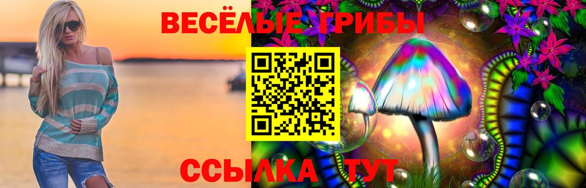 Псилоцибиновые грибы GOLDEN TEACHER  Вход с VPN  Ленинск-Кузнецкий  Галлюциногенные грибы прущие грибы 